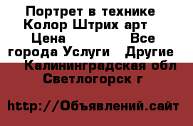 Портрет в технике “Колор-Штрих-арт“ › Цена ­ 250-350 - Все города Услуги » Другие   . Калининградская обл.,Светлогорск г.